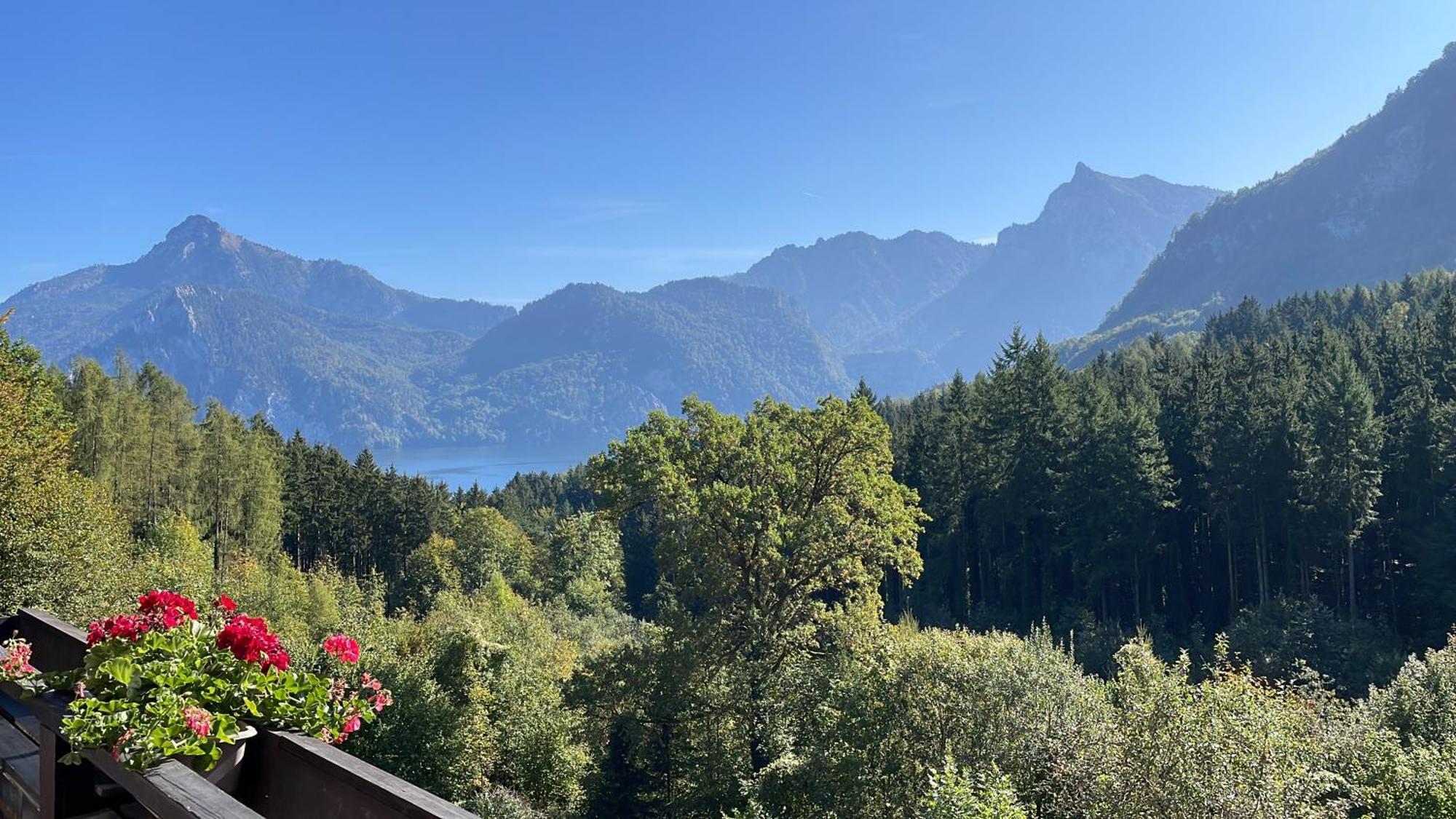 Pension 'S Waldeck Traunkirchen Exteriör bild